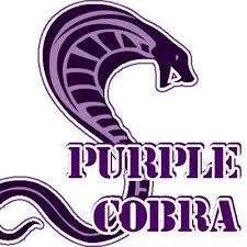 Purple_cobra_icon.jpg