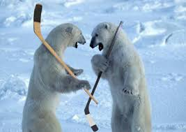 Polar_bears_and_hockey_1.png