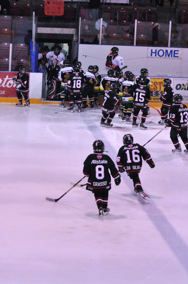 Cambridge_Winter_Hawks_Game_061.JPG