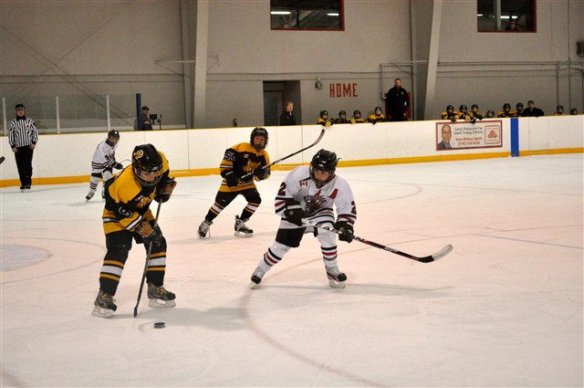 DSC_0337.JPG
