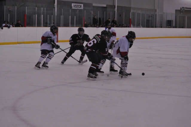 DSC_0822.JPG