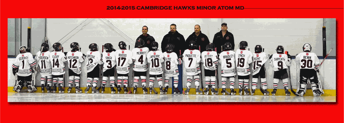 Cambridge-Hawks-2014.gif